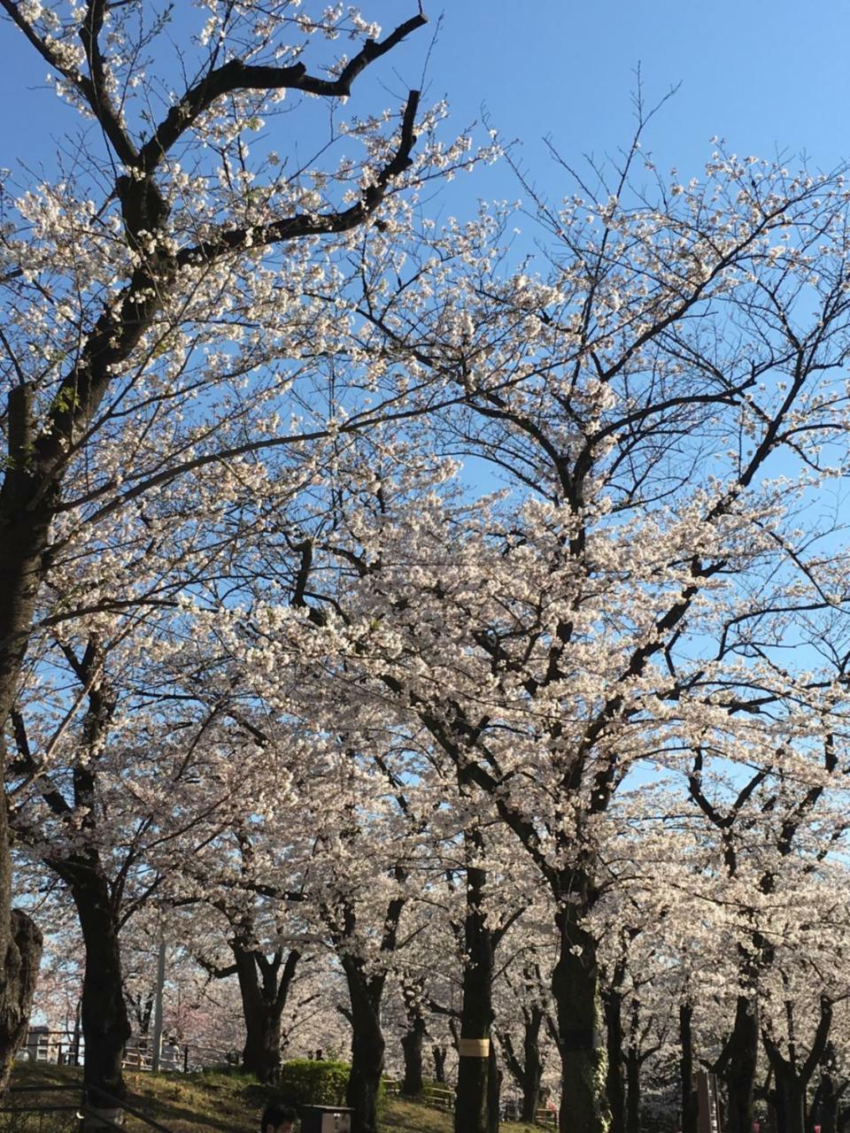 Ryokan Nakadaya Tokio Zewnętrze zdjęcie